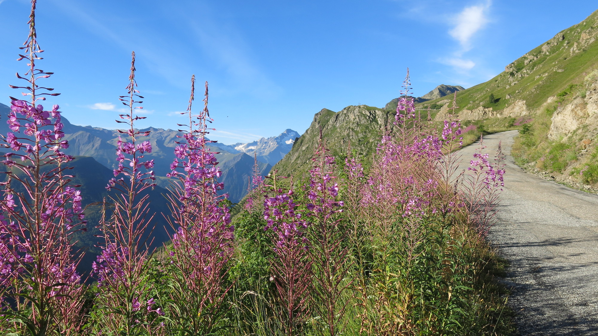 Reiner_Alpencross_09