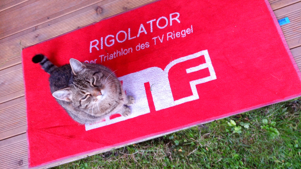 Rigolator 2019